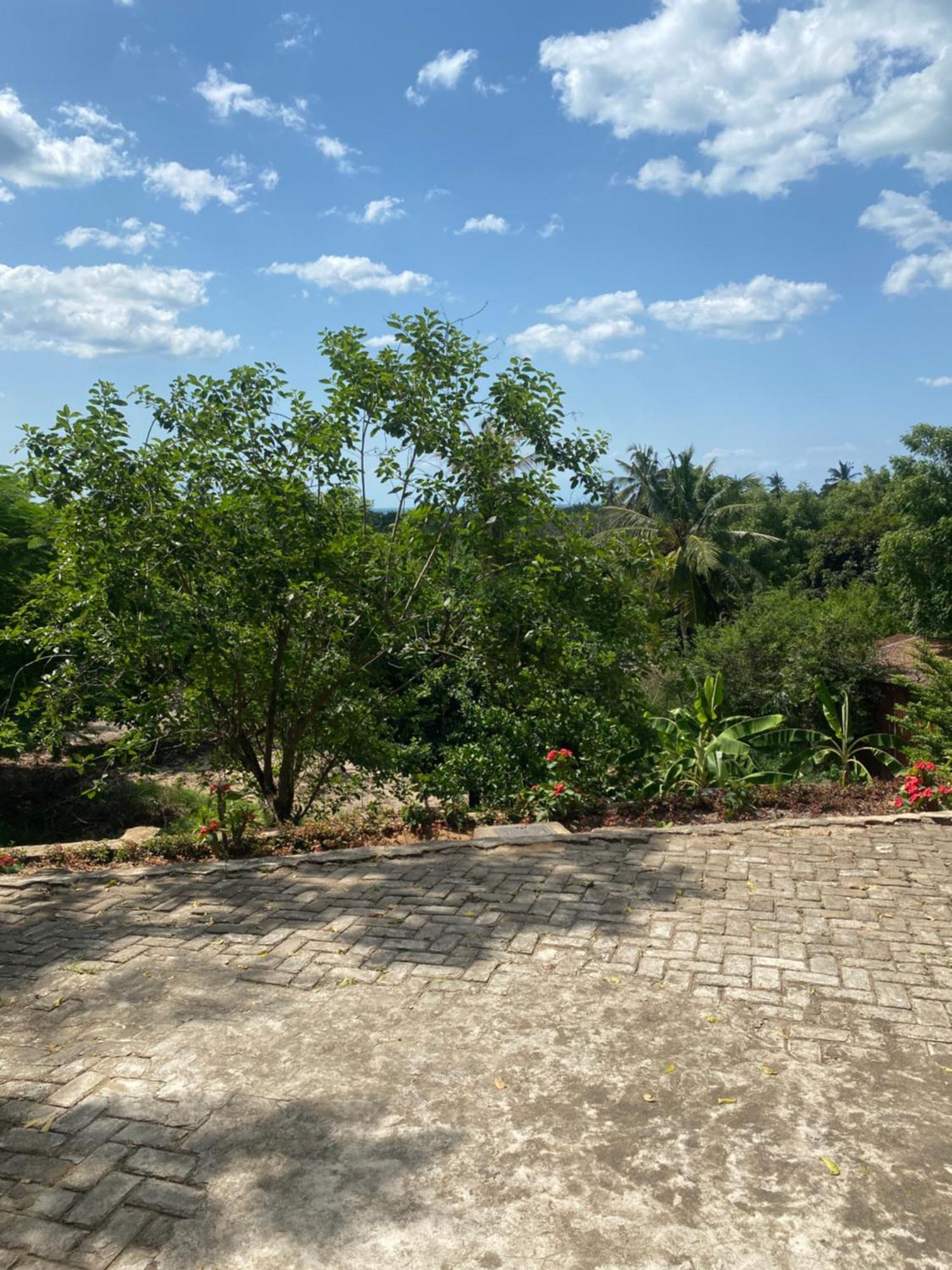 Mikoko Beach & Cottages Bagamoyo Luaran gambar