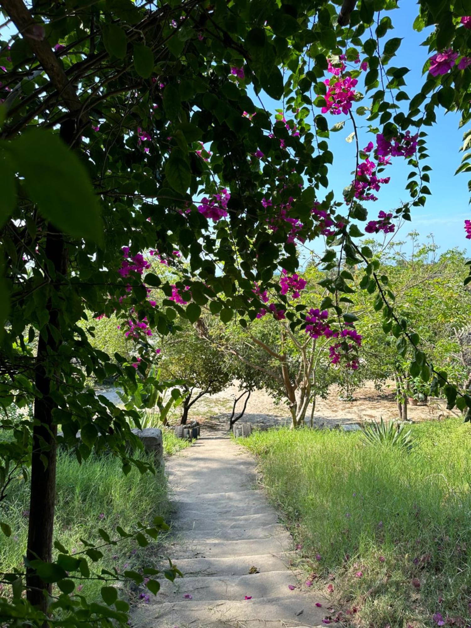 Mikoko Beach & Cottages Bagamoyo Luaran gambar